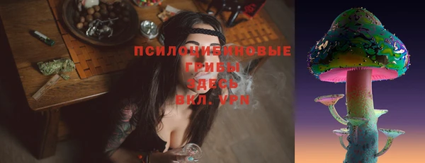 гидра Армянск