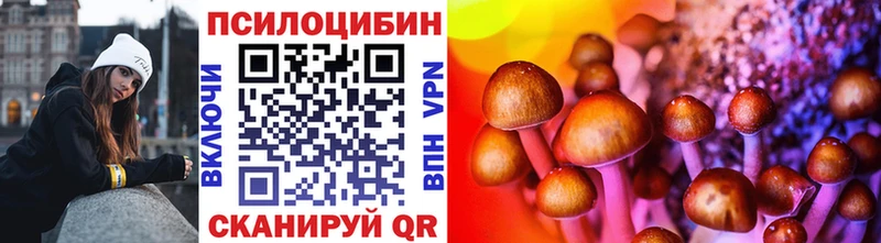 Галлюциногенные грибы Psilocybe  где продают наркотики  OMG ссылки  Губкин 
